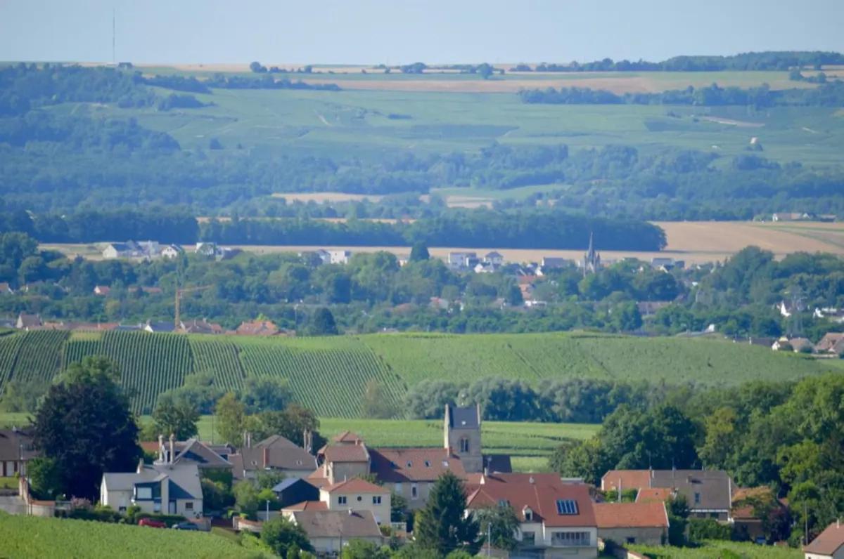 Agreable Maison Petit Jardin A 7 Minutes De Reims Pargny-les-Reims Exteriér fotografie