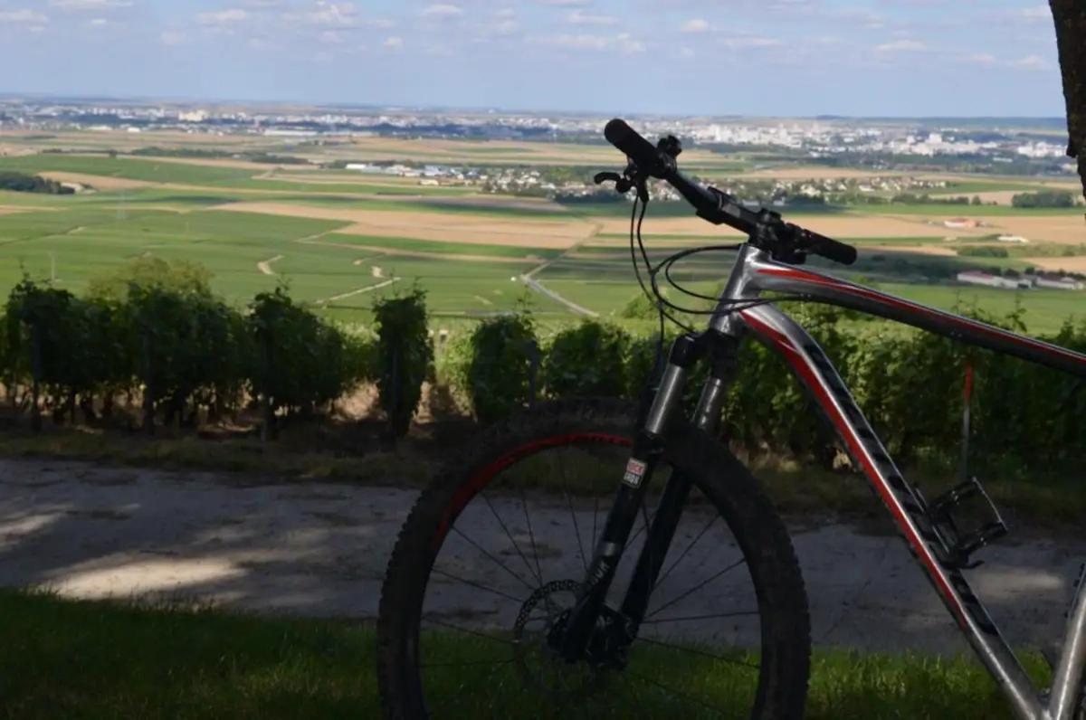 Agreable Maison Petit Jardin A 7 Minutes De Reims Pargny-les-Reims Exteriér fotografie